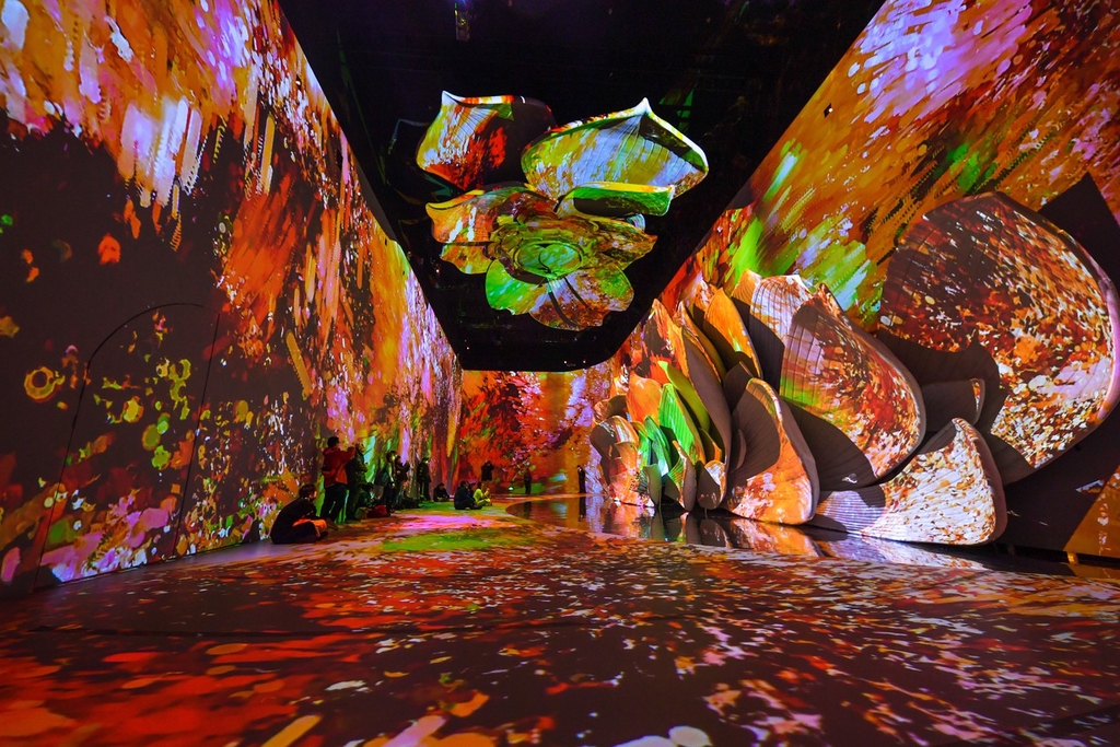 A photo taken on December 12, 2023 shows imagery of a blooming lotus in the 