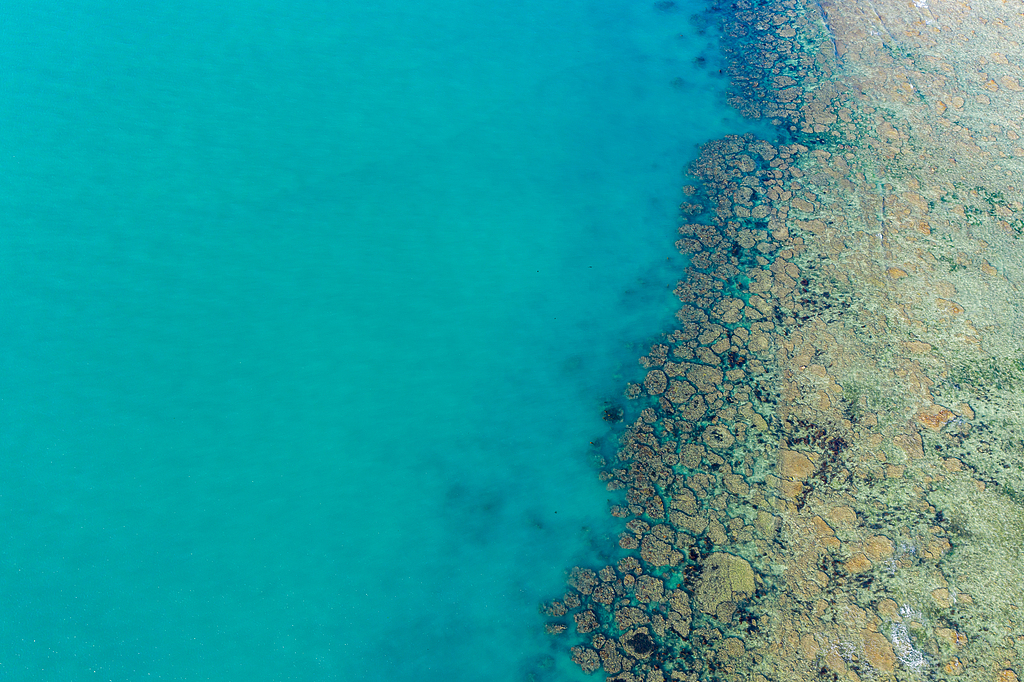 Corals planted to protect marine ranch system in Hainan