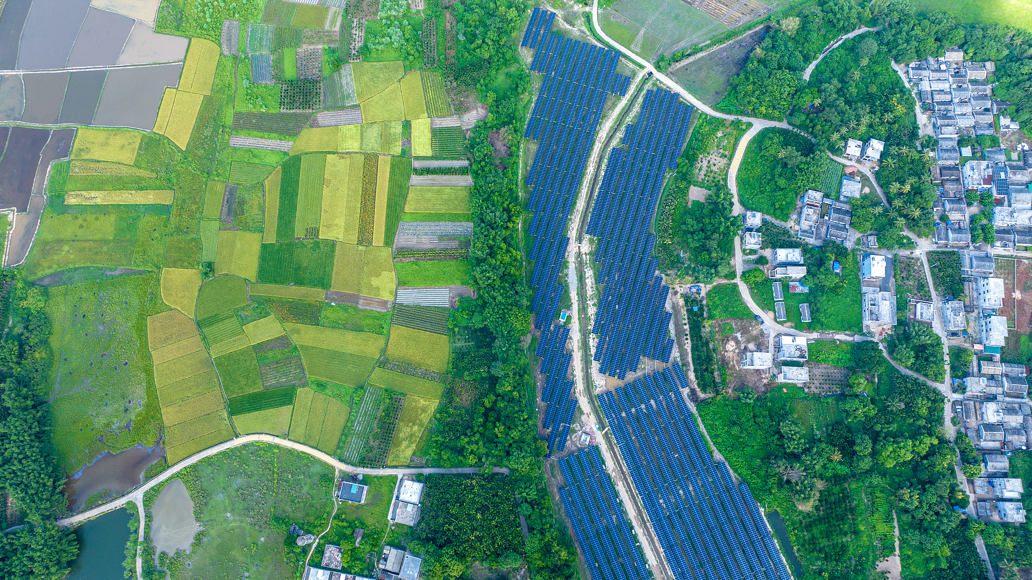 Green development in Hainan