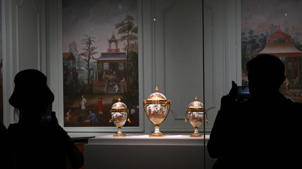 Visitors watch the exhibition 