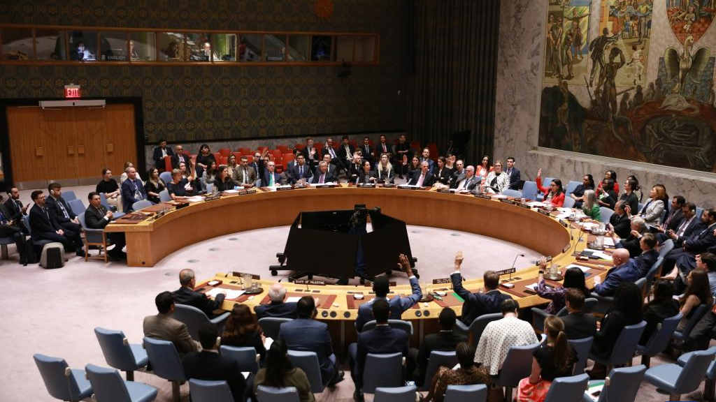 Representatives vote on a draft resolution during a UN Security Council meeting at the UN headquarters in New York, June 4, 2025. /Xinhua