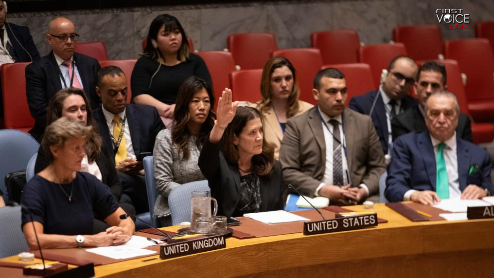 Acting U.S. Representative to the United Nations Dorothy Shea (C, Front) votes against a UN Security Council draft resolution at the UN headquarters in New York, June 4, 2025. /Xinhua
